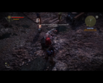 witcher2 2011-05-30 20-13-15-80.png