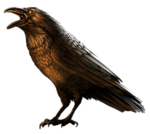 RavenBird.png