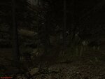 Тёмный лес.jpg