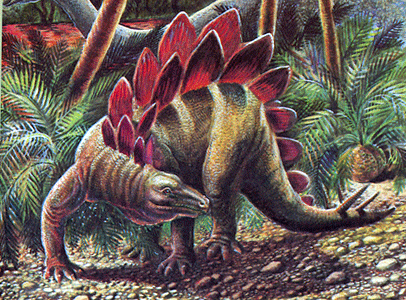 Stegosaurus.gif