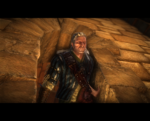 witcher2 2011-05-26 22-52-54-64.png