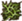 22px-Substances_Green_mold.png