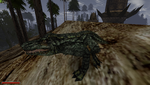 Alligator_new2.png