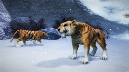 Новогодние тигры.jpg