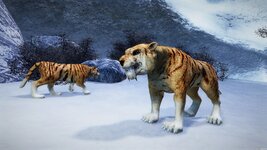 Новогодние тигры (без снега).jpg