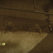 Снимок экрана 2026-03-03 130823.png