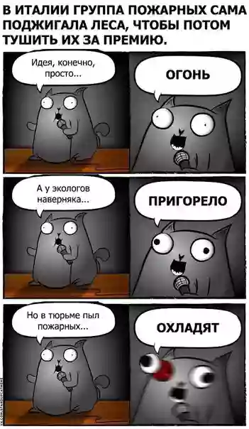 PUNCAT.png