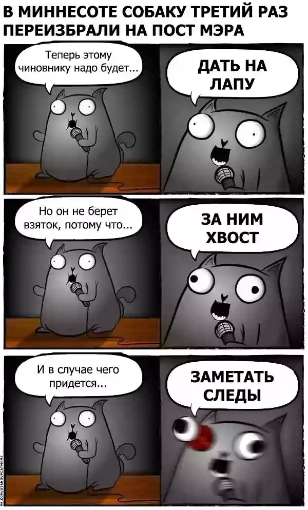 PUNCAT.png