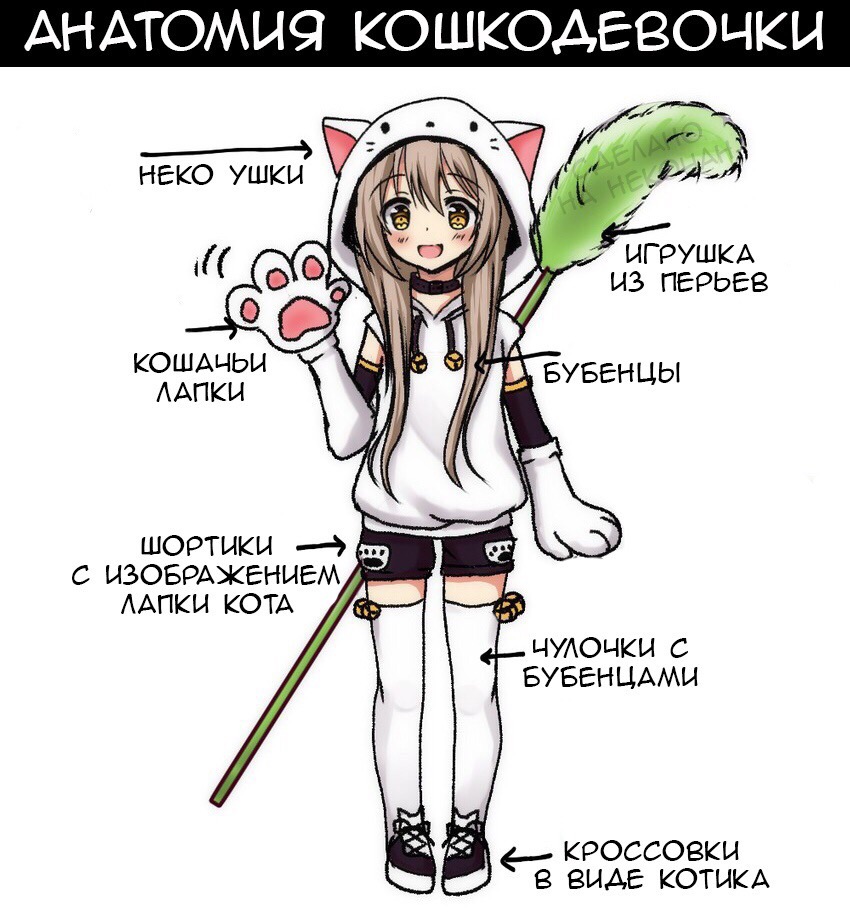 Kq7OvRe.jpg