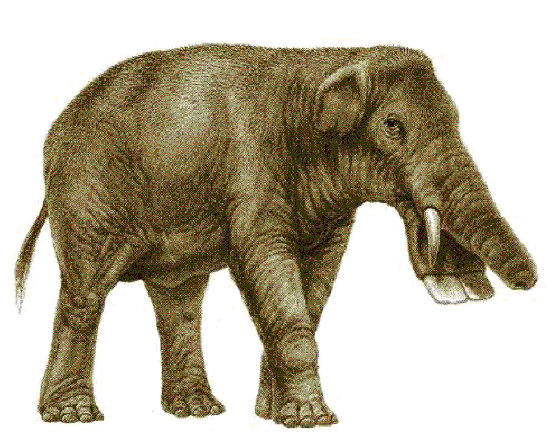 paleog3.gif