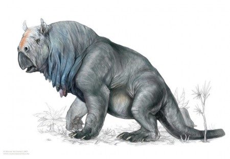 Hulompolus_m21-450x312.jpg