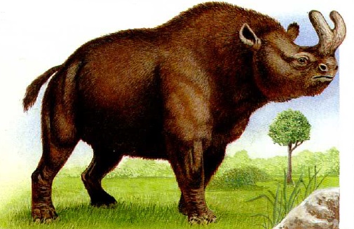 Бронтотерий.jpg