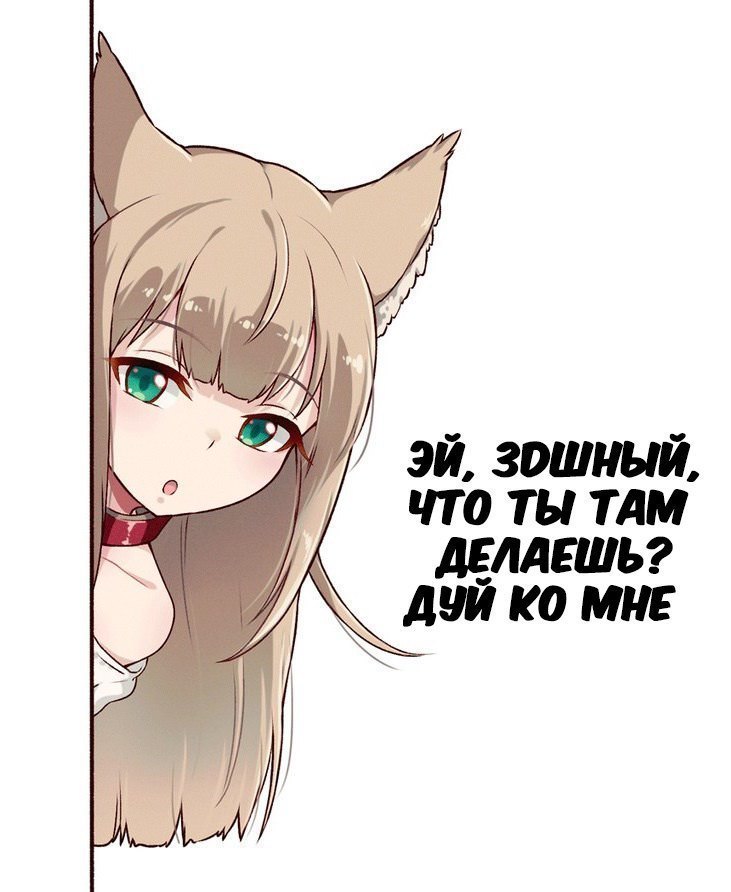 OMTQLUC.jpg