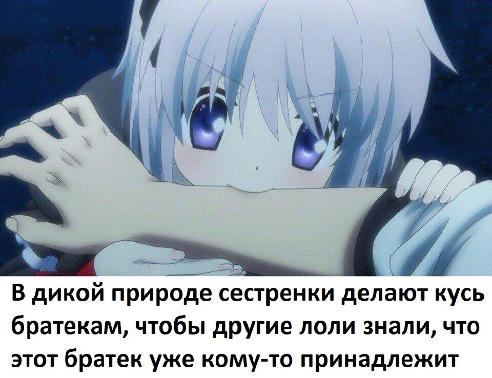 e7DRxlz.jpg