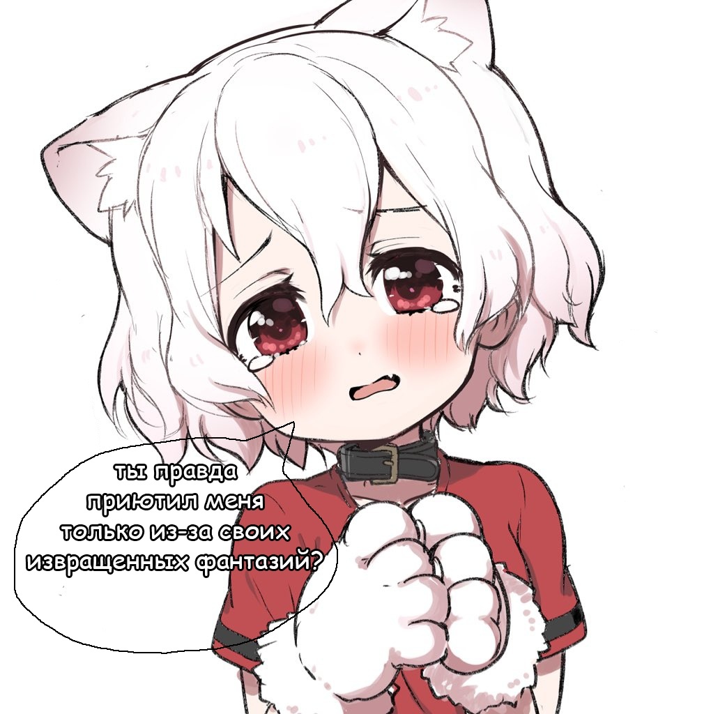 ilFdw5G.jpg