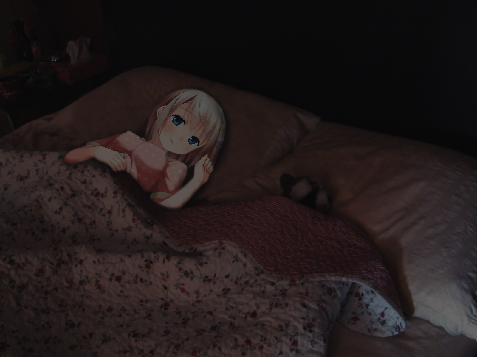 jrKvnDb.jpg