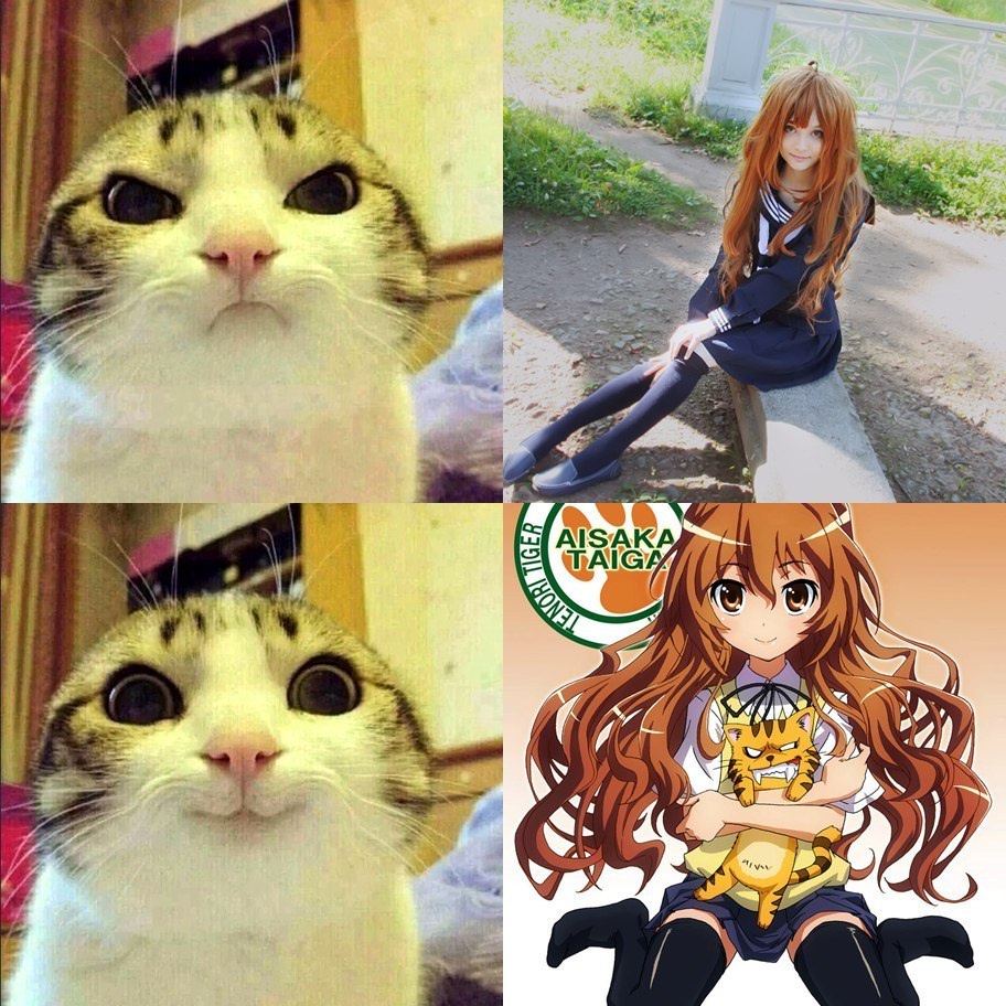 txiXBU2.jpeg